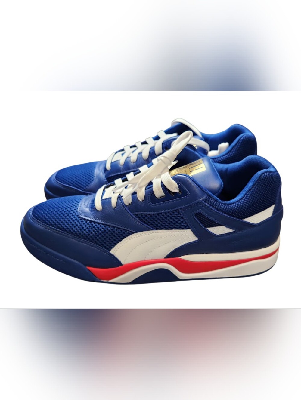 NEW Men's Puma Palace Guard Finals Surf‎ The Web
